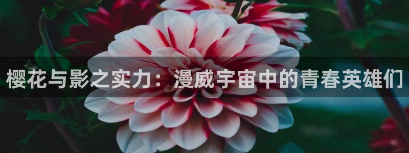 backstage韩漫免费观看：樱花与影之实力：漫威宇宙中的青春英雄们