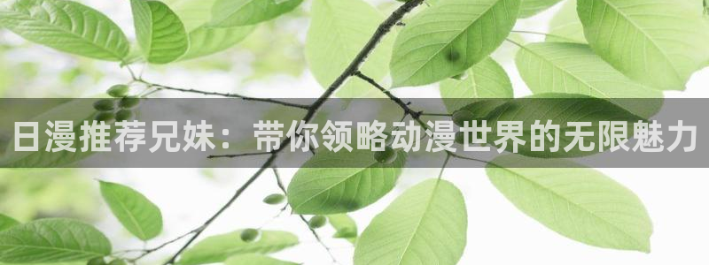 贝勒漫画下载动漫全免费：日漫推荐兄妹：带你领略动漫世界的无限魅力