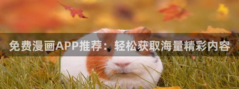 stagenehind韩漫免费观看：免费漫画APP推荐：轻松获取海量精彩内容