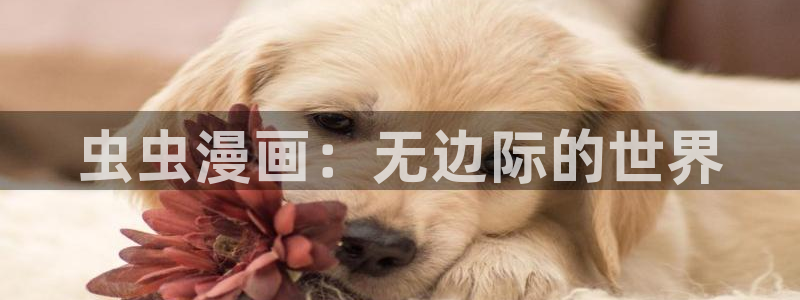 下载贝勒漫画：虫虫漫画：无边际的世界