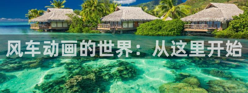 贝勒漫画下载动漫全免费：风车动画的世界：从这里开始
