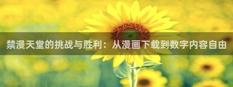 贝勒漫画樱花：禁漫天堂的挑战与胜利：从漫画下载到数字内容自由