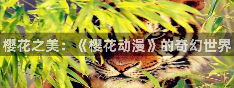 贝勒漫画官网入口老版本：樱花之美：《樱花动漫》的奇幻世界