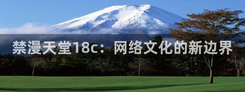 贝勒漫画官网入口老版本：禁漫天堂18c：网络文化的新边界