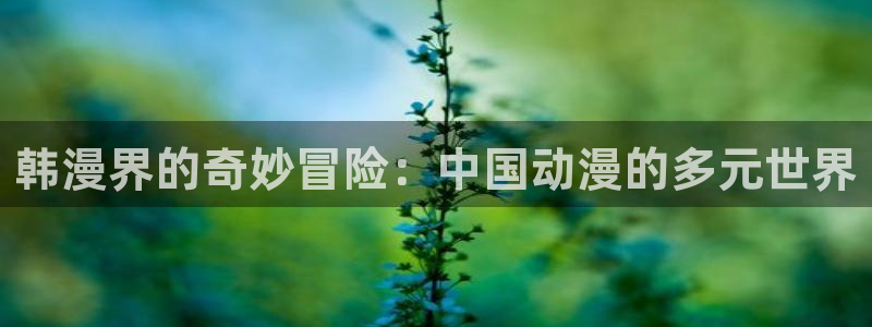 colomanage漫画官网：韩漫界的奇妙冒险：中国动漫的多元世界