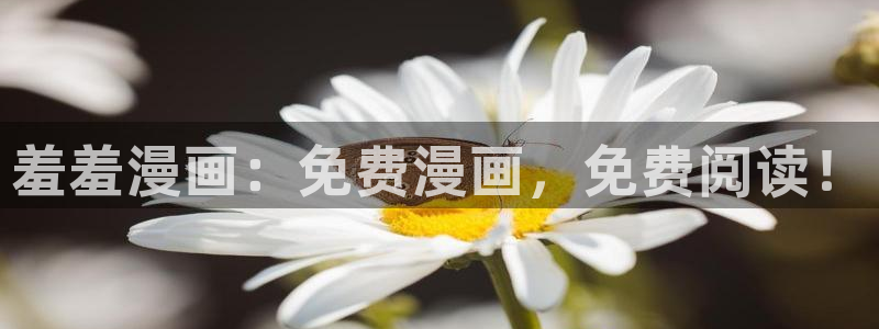 贝勒漫画网上看：羞羞漫画：免费漫画，免费阅读！