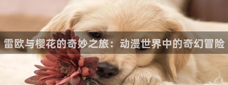 kakaopage韩漫官网：雷欧与樱花的奇妙之旅：动漫世界中的奇幻冒险